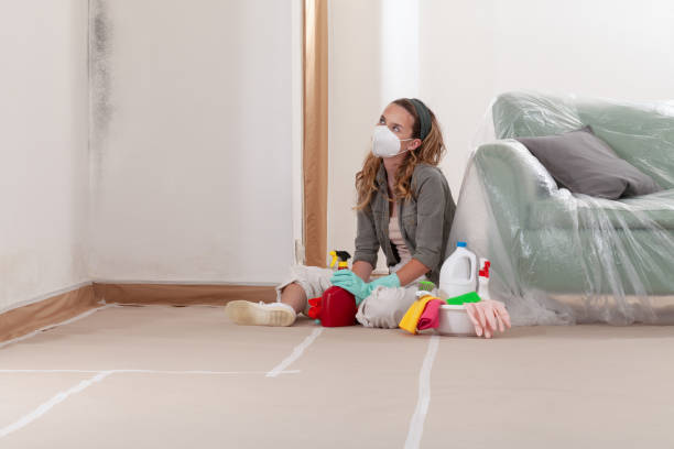 Reliable Crawl Space Mold Removal contractor in Lake Stevens, WA by WQB Mold Removal
